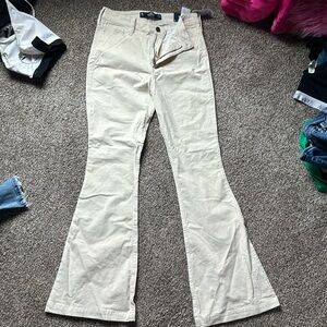 Hollister pants